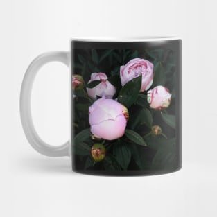 Peony buds Mug